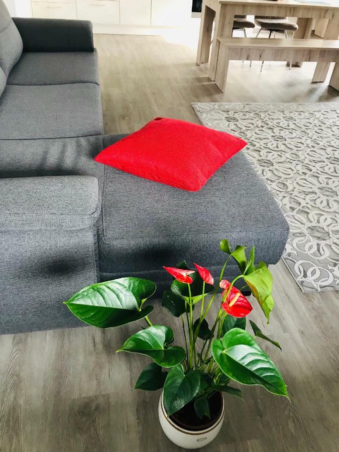 Lux Ferienwohnungen ماركدورف المظهر الخارجي الصورة